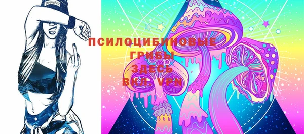 твердый Гусиноозёрск
