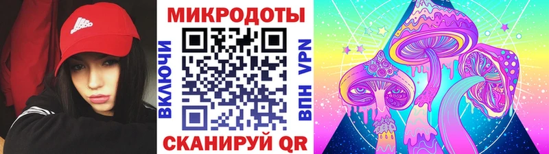 Псилоцибиновые грибы Psilocybine cubensis  Дербент 