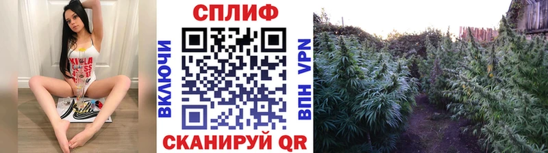 Марихуана VHQ Дербент